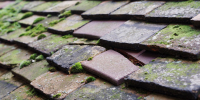 Henlow Camp roof repair costs